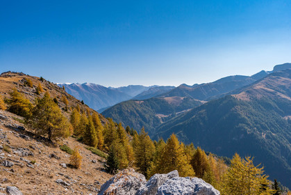 Auron