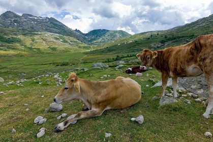 GR 20 Nord