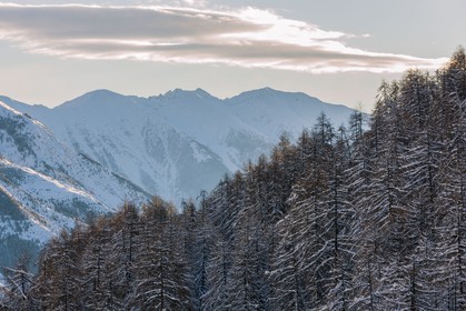 Auron