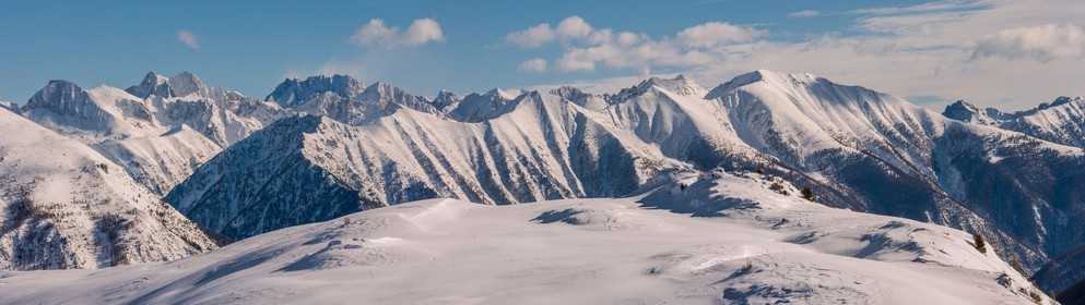 Auron