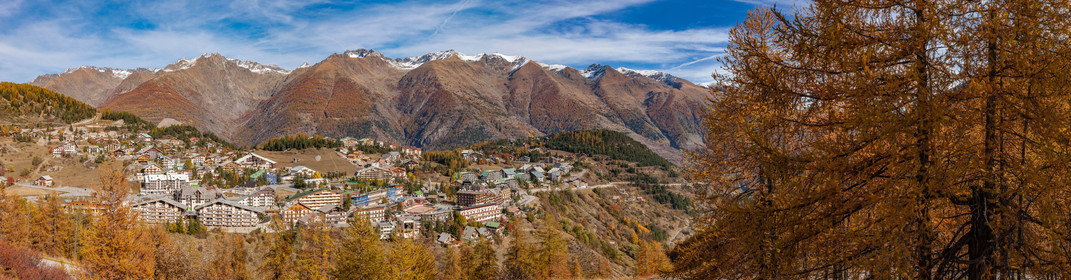 Auron