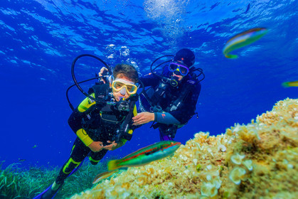 Plongée-sous-marine