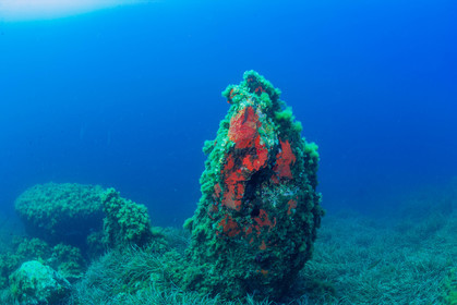 Plongée-sous-marine