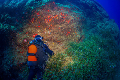 Plongée-sous-marine