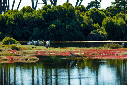 Lérins, Sainte-Marguerite