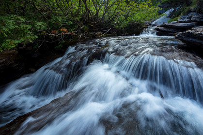 Torrent