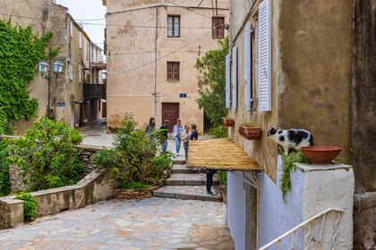 Erbalunga
