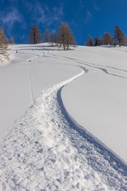 Isola 2000