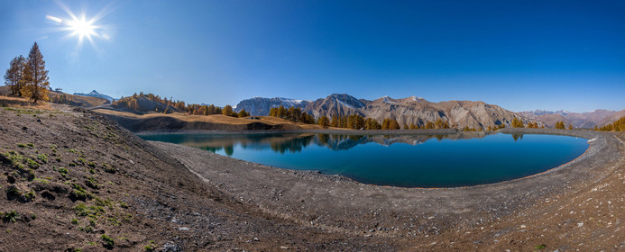 Auron