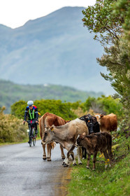 Bikingman Corsica 2019