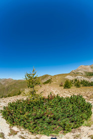 Rando Rochegrand