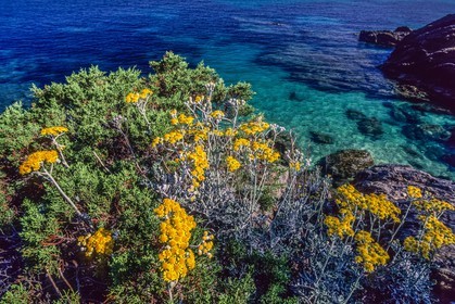 Porquerolles