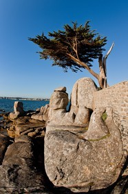 Concarneau