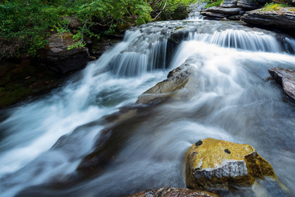 Torrent