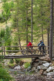 Vtt