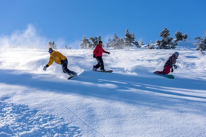 Snowboard