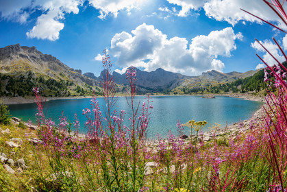 Lac d'Allos