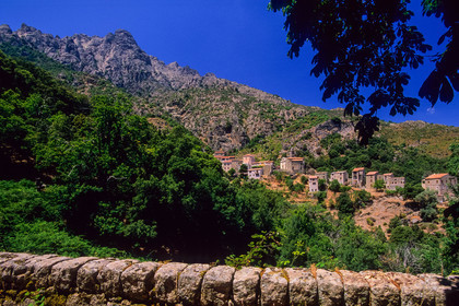 Popolasca