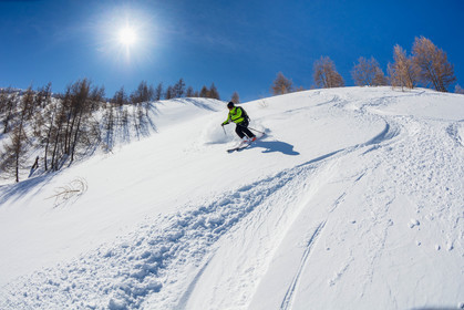 Freeride
