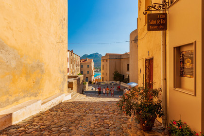 Calvi