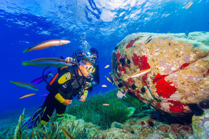 Plongée-sous-marine