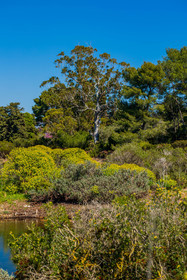 Lérins Sainte-Marguerite