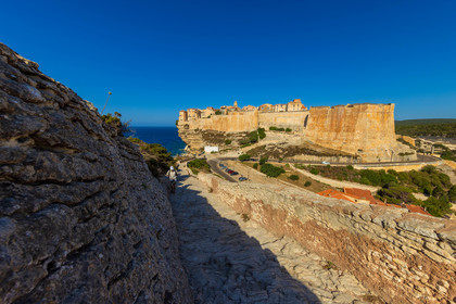 Bonifacio