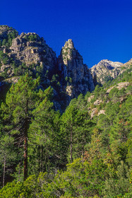 Restonica