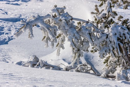 Gréolières-les-Neiges