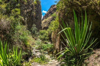 Ile de La Réunion