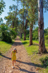 Lérins Sainte-Marguerite