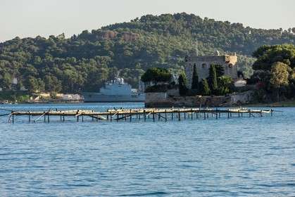 La Seyne-sur-Mer.