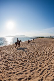 Cheval sur la plage de Porticcio