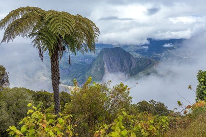 Ile de La Réunion