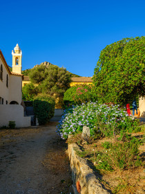 Algajola