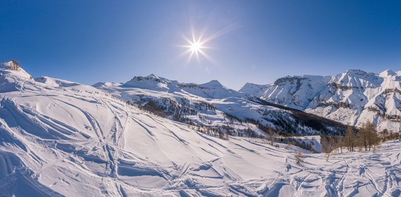 Auron