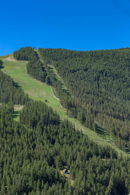 Auron