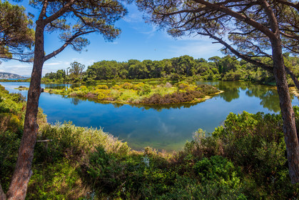 Lérins Sainte-Marguerite