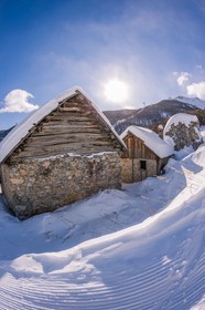 Auron