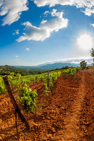 Domaine de Torracia