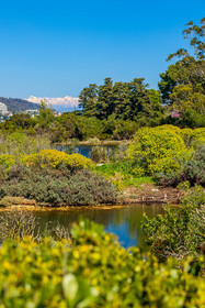 Lérins Sainte-Marguerite