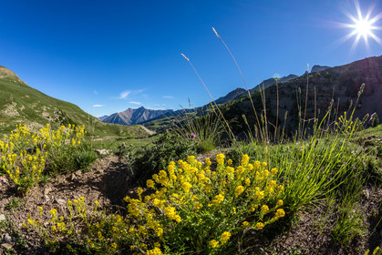 Col de la Bonette