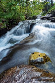 Torrent