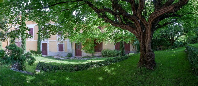 Opio