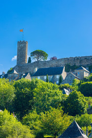 Turenne