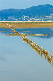 Salins d'Hyères