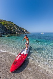 Paddle