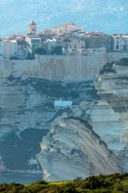 Bonifacio