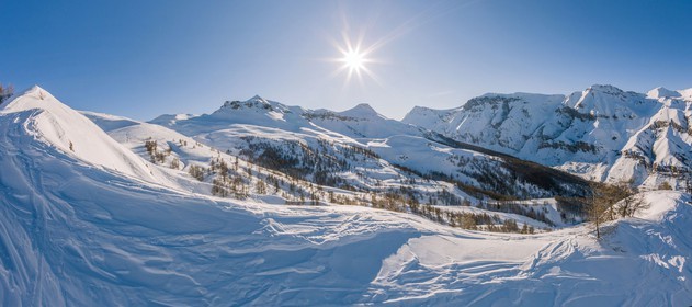 Auron