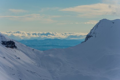 Auron